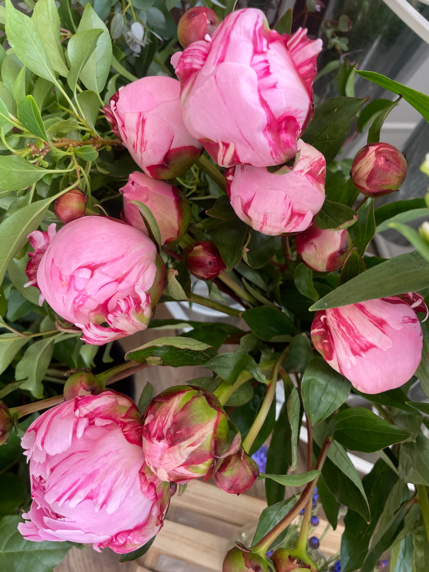 Fresh Cornish Peonies – Choose Classic Peony Bunch (£25) or Deluxe Mixed Bouquet (£40) – Seasonal & Locally Sourced