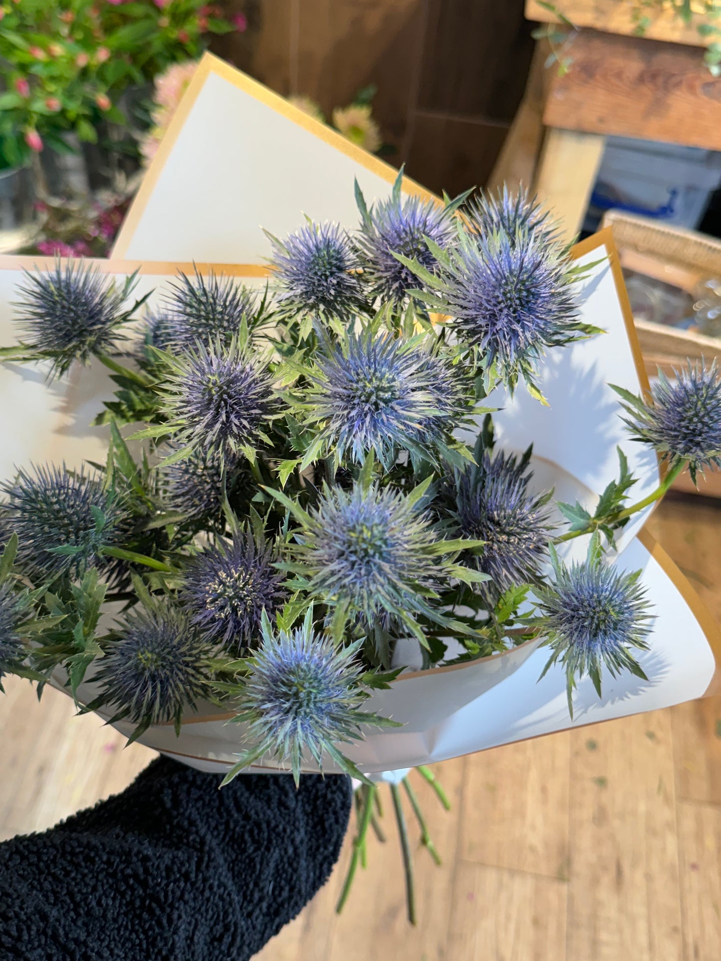 Eryngium (Sea holly- thistle ) bunch with or without eucalyptus. Blue eryngium. fresh foliage