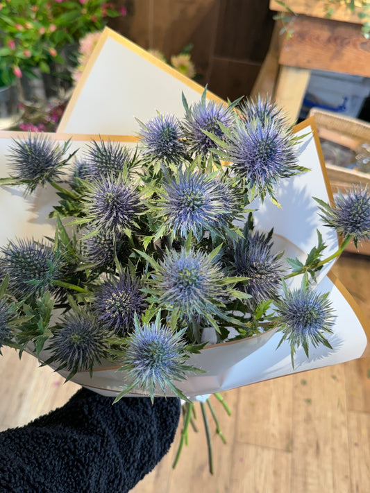 Blue eryngium flower bunch with sculptural stems and thistles – Barns Florals.